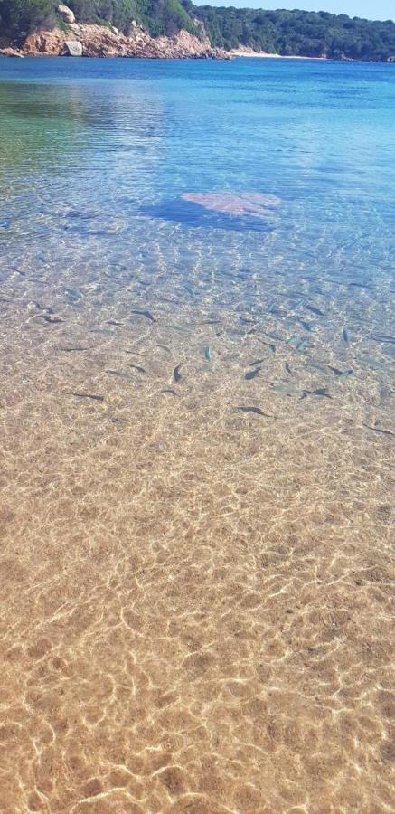 Appartamento Bluewater La Maddalena  Bagian luar foto
