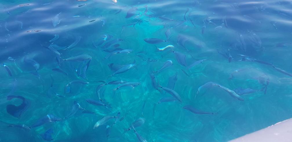 Appartamento Bluewater La Maddalena  Bagian luar foto