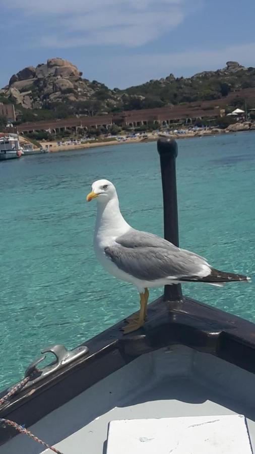 Appartamento Bluewater La Maddalena  Bagian luar foto